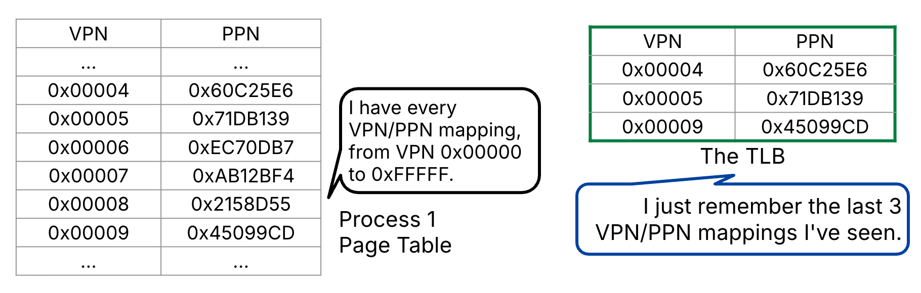 The Translation Lookaside Buffer (TLB) stores a subset of address translations.